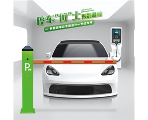 沾化RG-CW系列车位小道闸